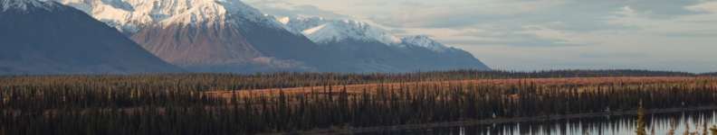 iler-stoe-365375-unsplash iler-stoe-365375-unsplash